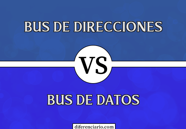 Diferencia entre bus de direcciones y bus de datos