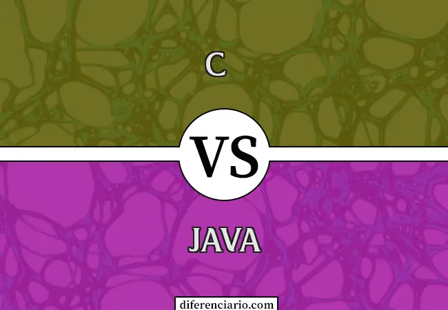 Diferencia entre C++ y Java