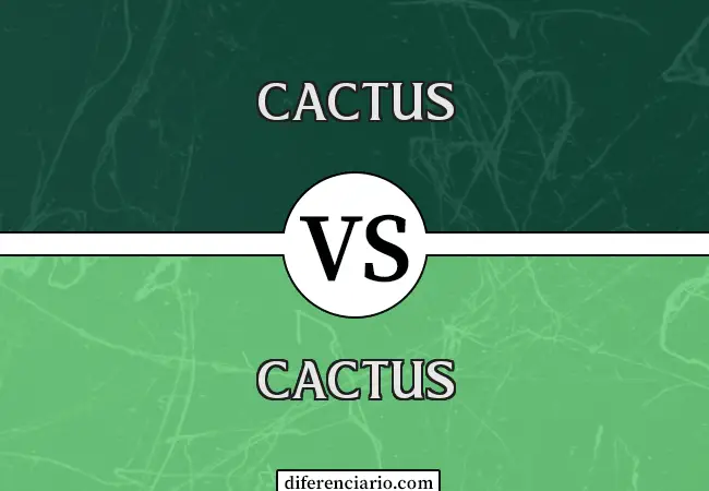 Diferencia entre Cacti y Cactus