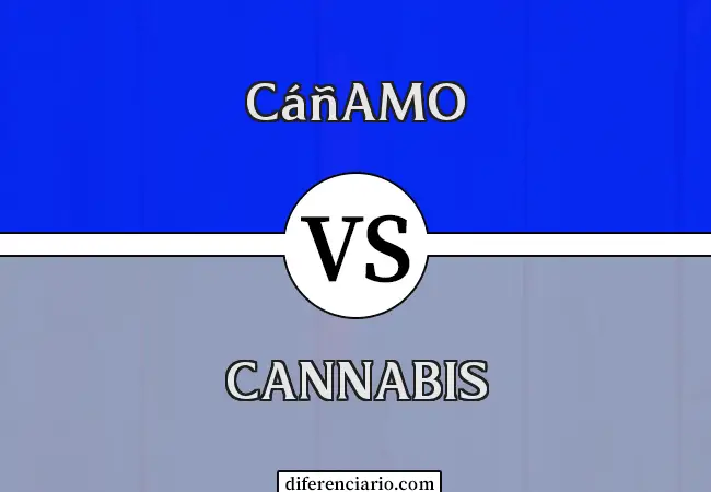Diferencia entre cáñamo y cannabis