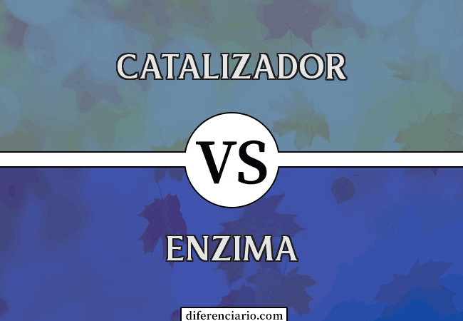 Diferencia entre catalizador y enzima