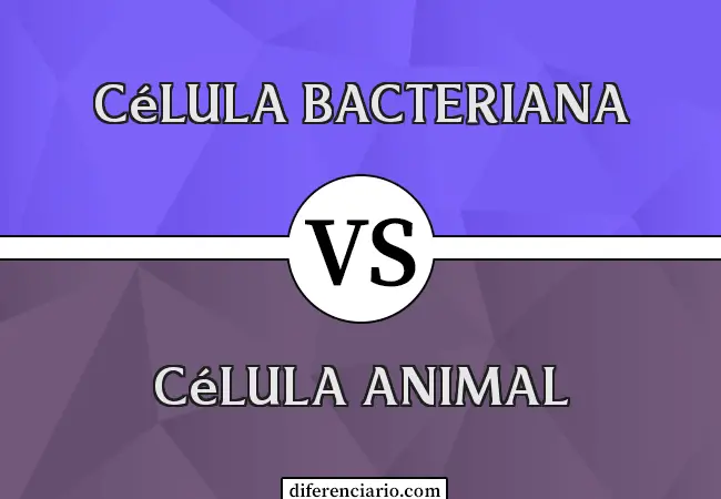 Diferencia entre célula bacteriana y célula animal