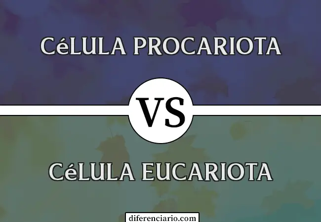 Diferencia entre célula procariota y célula eucariota