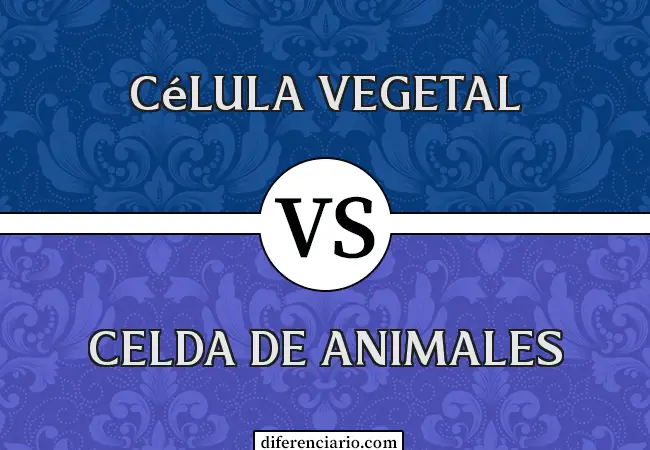 Diferencia entre célula vegetal y célula animal