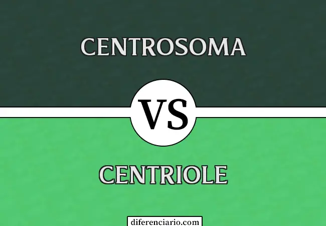 Diferencia entre Centrosoma y Centríolo