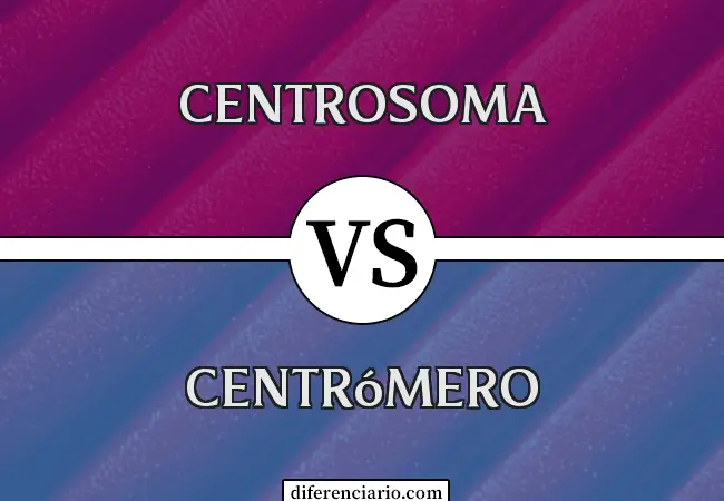 Diferencia entre Centrosoma y Centrómero