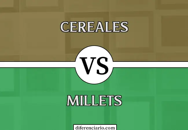 Diferencia entre cereales y mijo