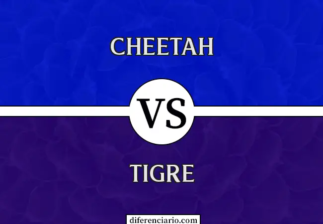 Diferencia entre guepardo y tigre