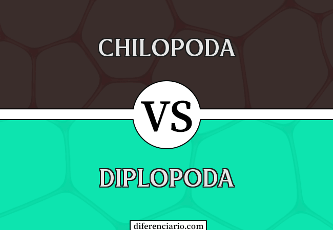 Diferencia entre Chilopoda y Diplopoda