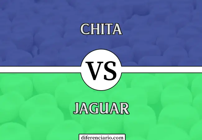 Diferencia entre guepardo y jaguar