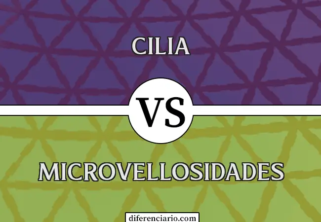 Diferencia entre cilios y microvellosidades