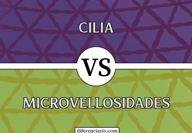 Diferencia entre cilios y microvellosidades