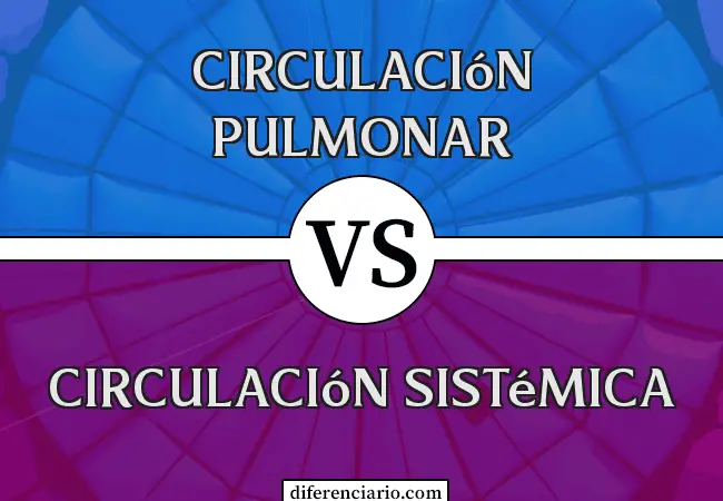 Diferencia entre Circulación Pulmonar y Circulación Sistémica