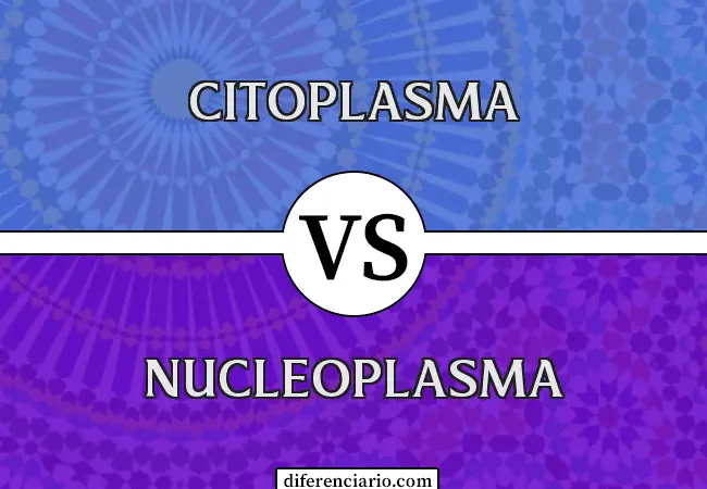 Diferencia entre citoplasma y nucleoplasma