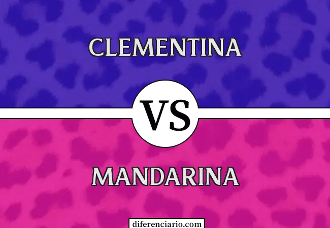 Diferencia entre Clementina y Mandarina