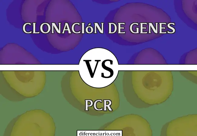 Diferencia entre clonación genética y PCR