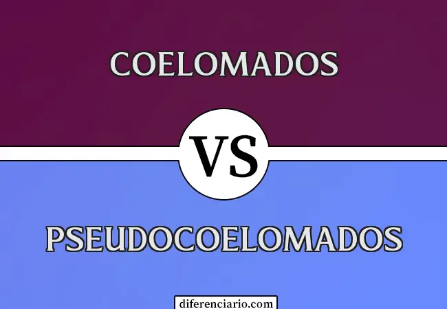 Diferencia entre coelomados y pseudocoelomados