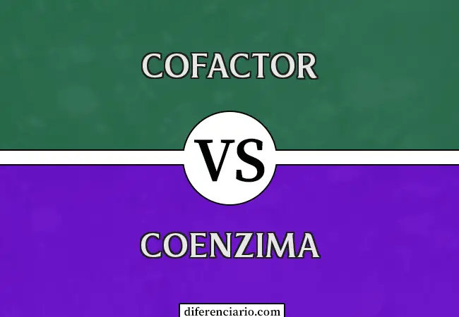 Diferencia entre Cofactor y Coenzima