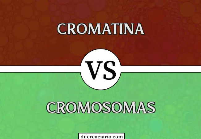 Diferencia entre Cromatina y Cromosomas