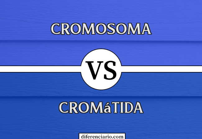 Diferencia entre Cromosoma y Cromátida