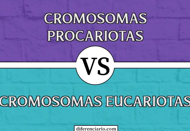 Diferencia entre cromosomas procariotas y cromosomas eucariotas