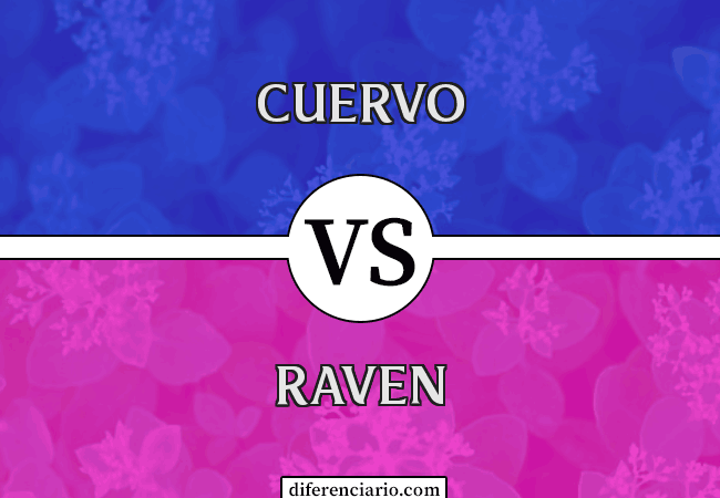Diferencia entre Crow y Raven
