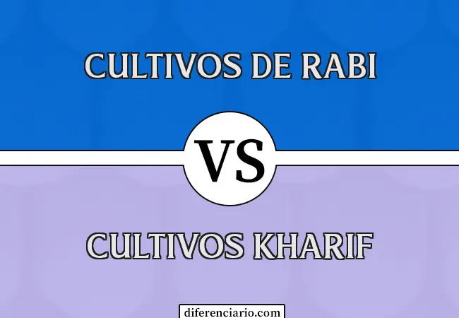 Diferencia entre cultivos Rabi y cultivos Kharif
