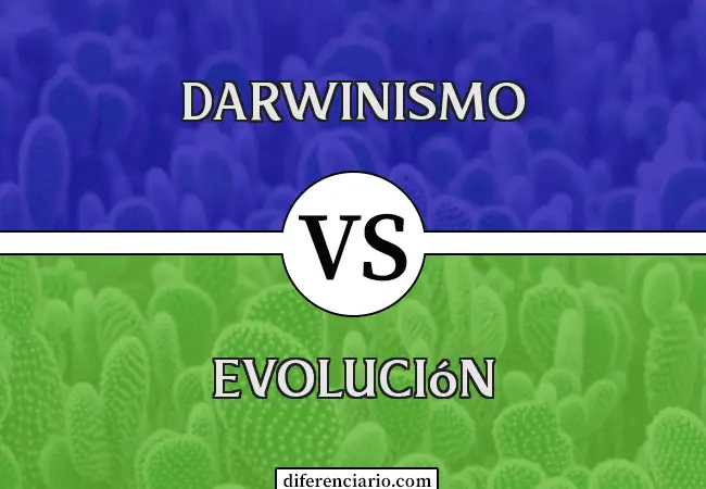 Diferencia entre Darwinismo y Evolución
