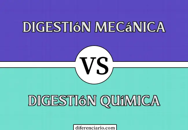 Diferencia entre digestión mecánica y digestión química