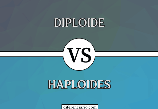 Diferencia entre Diploide y Haploide