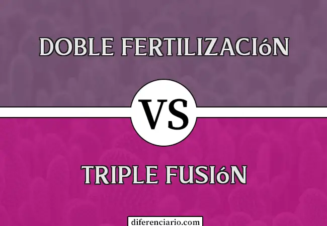 Diferencia entre doble fecundación y triple fusión