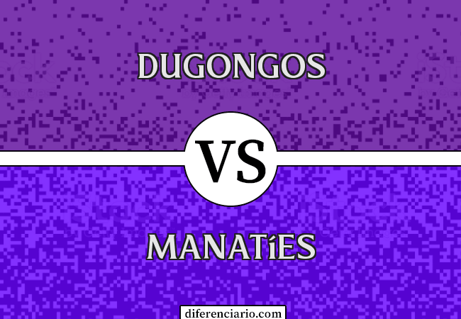 Diferencia entre dugongos y manatíes