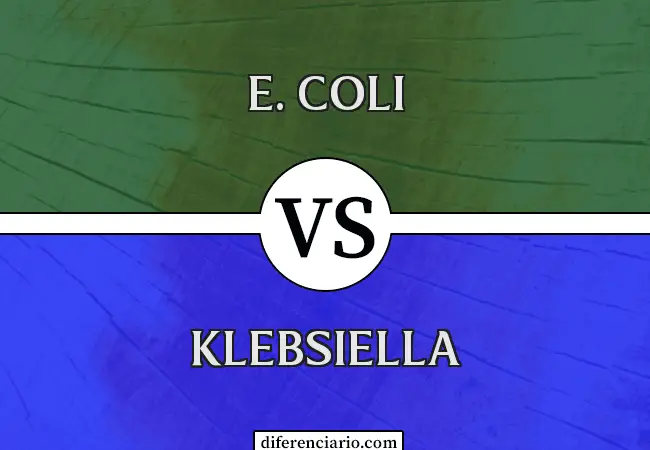 Diferencia entre E. Coli y Klebsiella