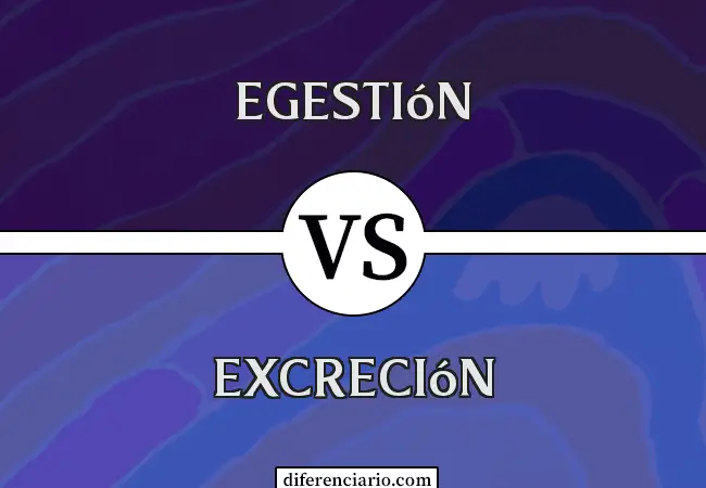 Diferencia entre Egestión y Excreción