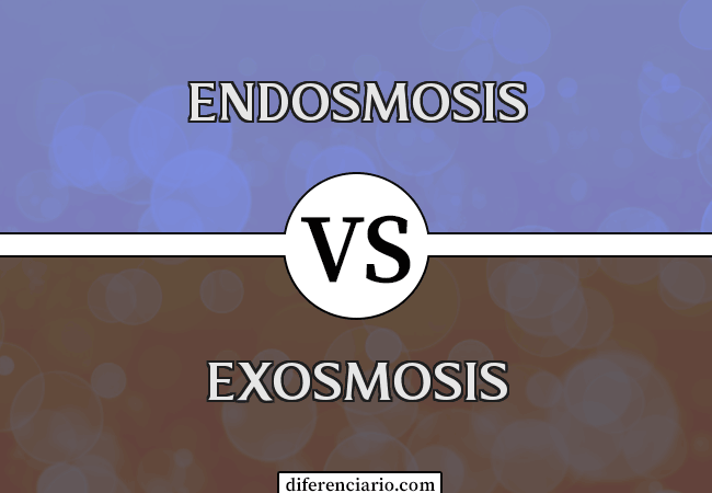 Diferencia entre Endosmosis y Exosmosis