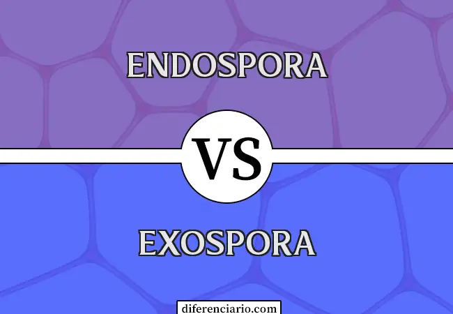 Diferencia entre Endospora y Exospora