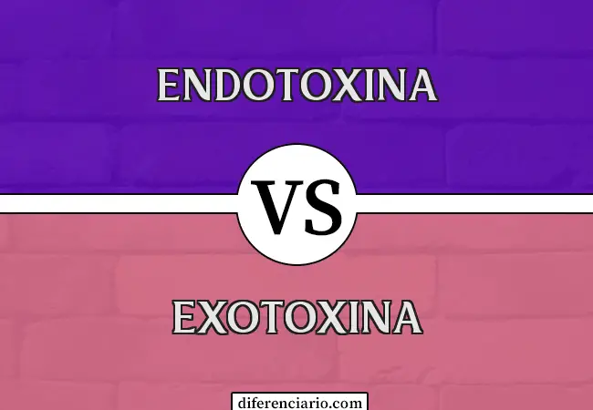 Diferencia entre endotoxina y exotoxina