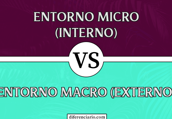 Diferencia entre entorno micro (interno) y entorno macro (externo)