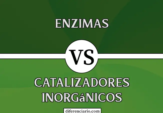Diferencia entre enzimas y catalizadores inorgánicos