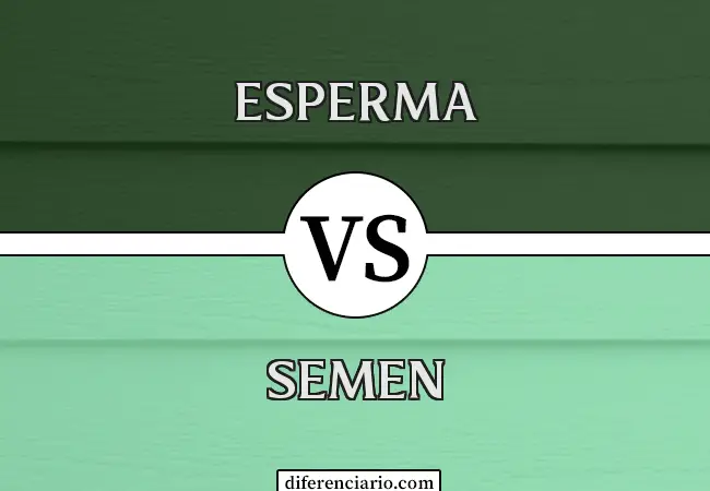 Diferencia entre esperma y semen