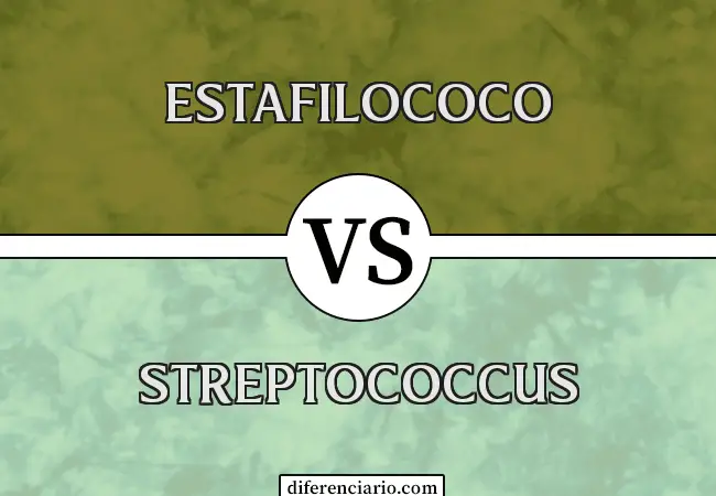 Diferencia entre estafilococo y estreptococo