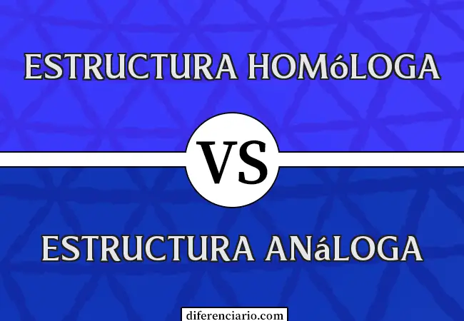 Diferencia entre estructura homóloga y estructura análoga