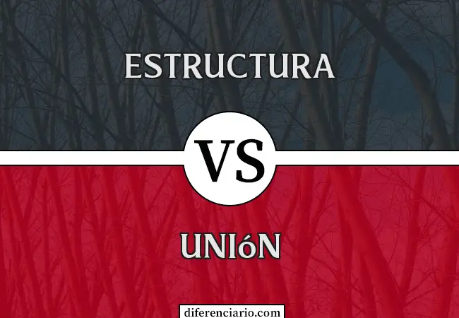Diferencia entre Estructura y Unión