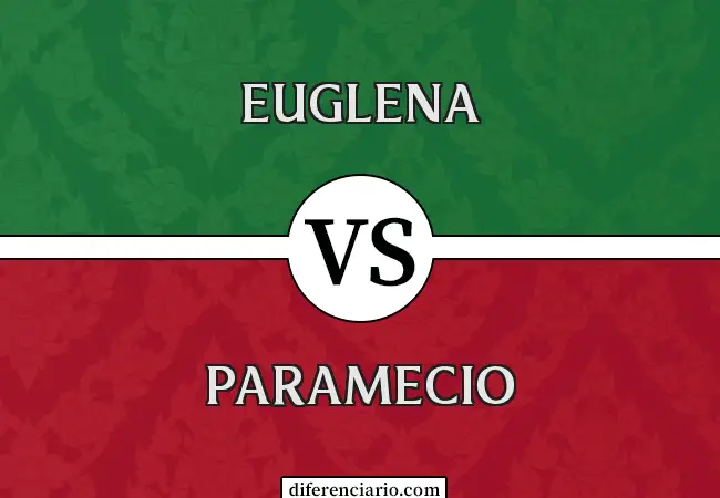 Diferencia entre Euglena y Paramecium