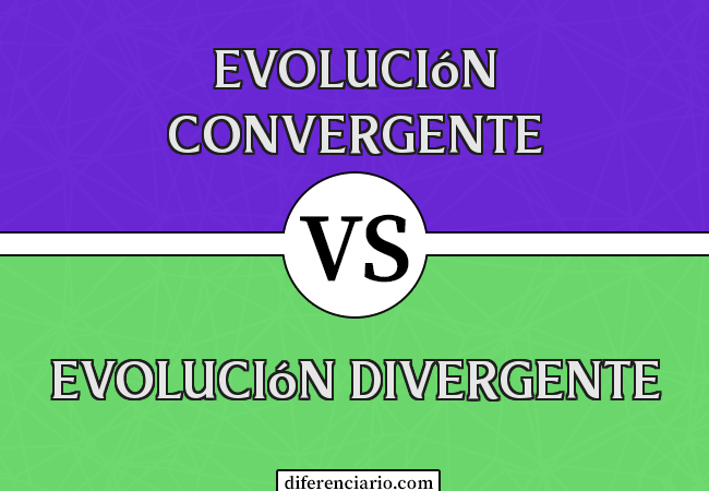 Diferencia entre evolución convergente y evolución divergente