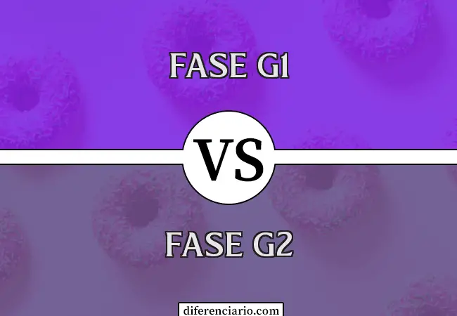 Diferencia entre la fase G1 y la fase G2