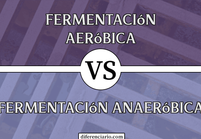 Diferencia entre fermentación aeróbica y fermentación anaeróbica