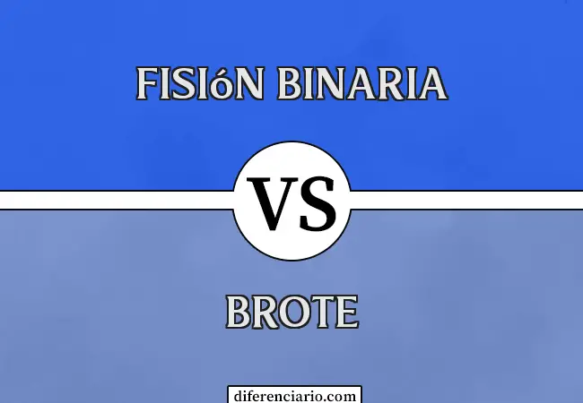 Diferencia entre fisión binaria y brote