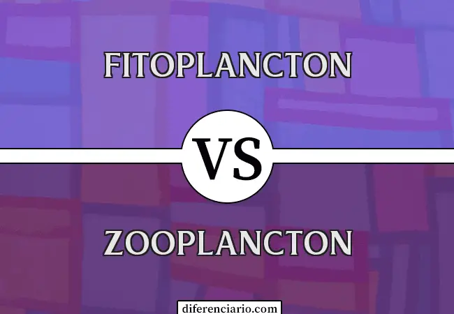 Diferencia entre fitoplancton y zooplancton