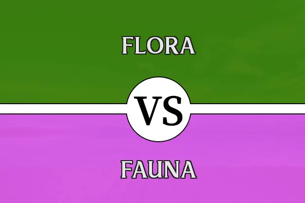 Diferencia entre Flora y Fauna